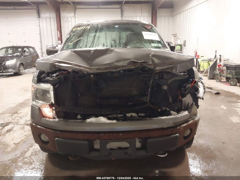 2013 Ford F-150 Platinum VIN: 1FTFW1EF1DFD36805 Lot: 43768779