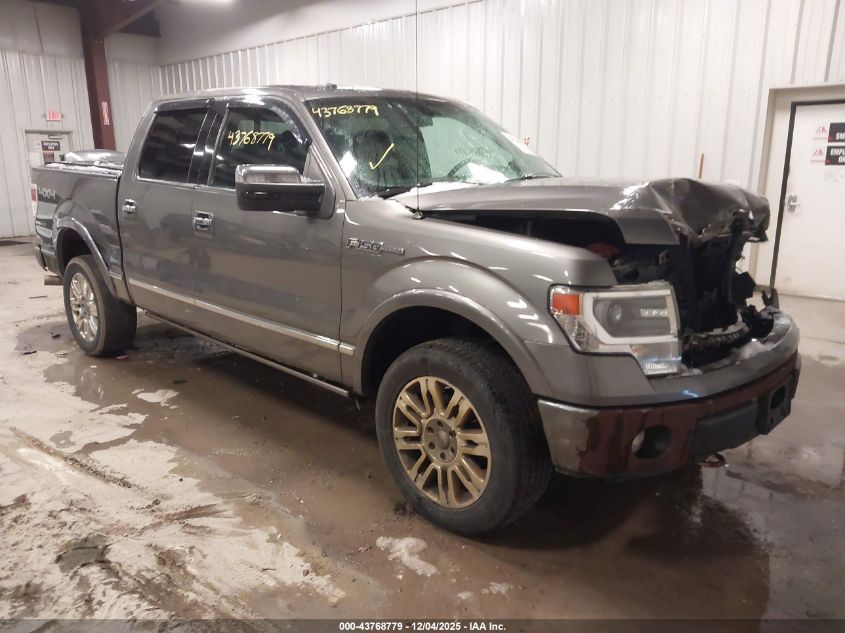 FORD F-150 PLATINUM
