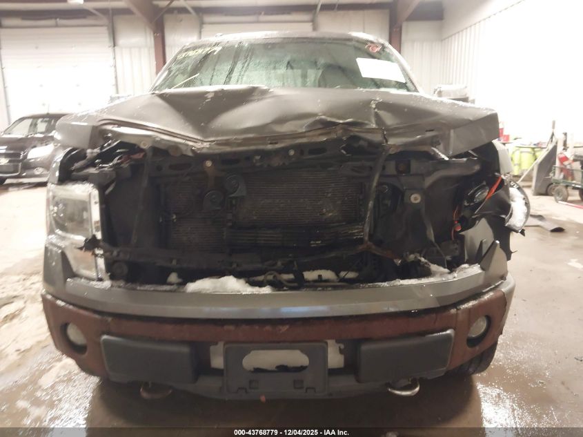 2013 Ford F-150 Platinum VIN: 1FTFW1EF1DFD36805 Lot: 43768779