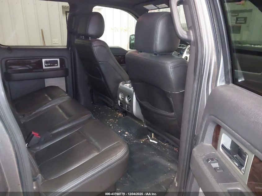 2013 Ford F-150 Platinum VIN: 1FTFW1EF1DFD36805 Lot: 43768779