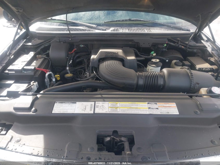 1999 Ford Expedition Eddie Bauer/Xlt VIN: 1FMRU17L3XLB43109 Lot: 43768933