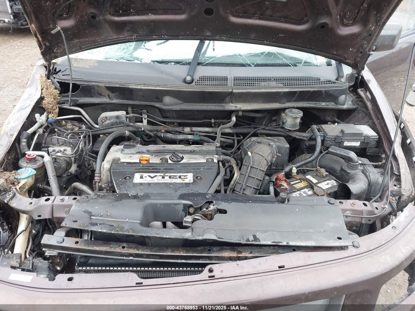 2007 Honda Element Sc VIN: 5J6YH18987L010248 Lot: 43768953