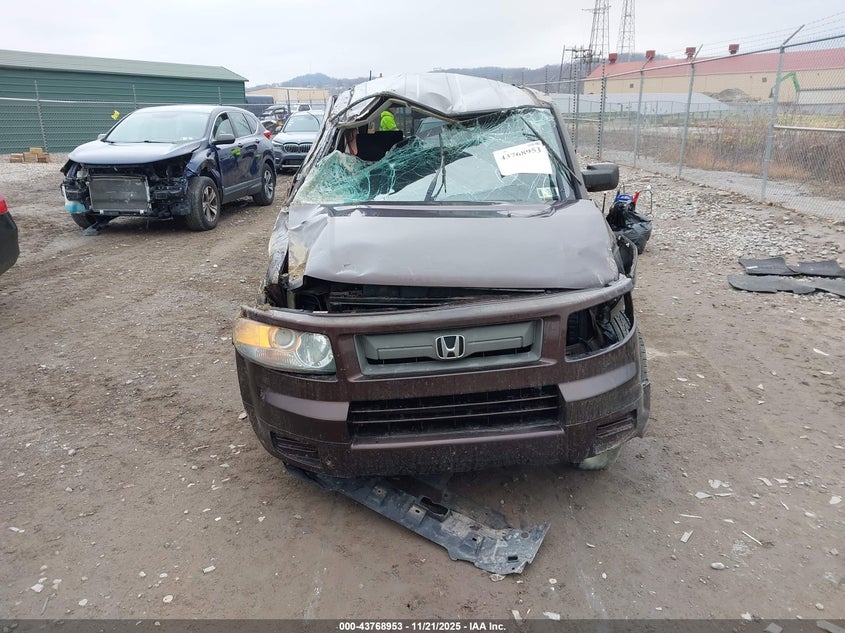 2007 Honda Element Sc VIN: 5J6YH18987L010248 Lot: 43768953