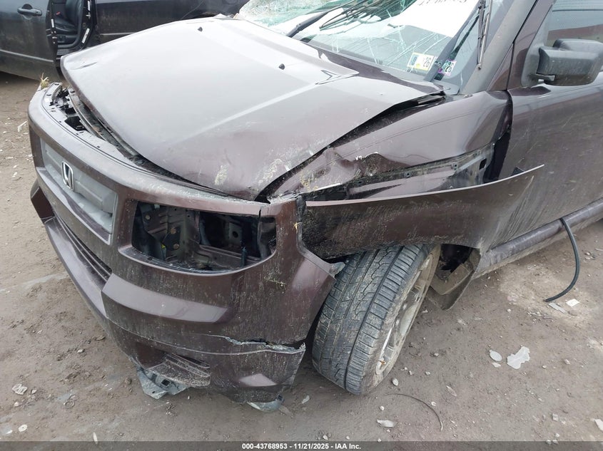 2007 Honda Element Sc VIN: 5J6YH18987L010248 Lot: 43768953