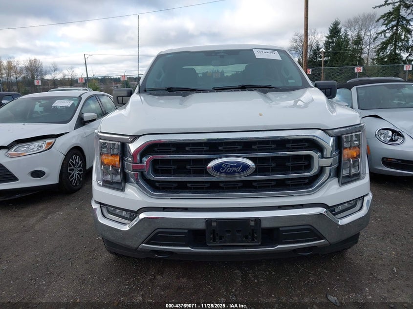 2023 Ford F-150 Xlt VIN: 1FTFW1E81PKF86266 Lot: 43769071