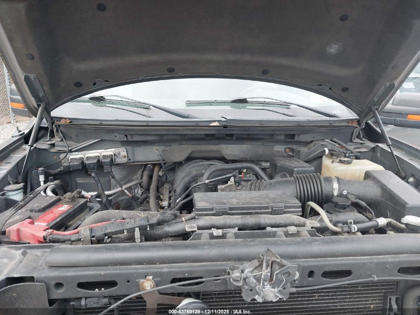 2010 Ford F-150 Stx/Xl/Xlt VIN: 1FTEX1E88AFD48231 Lot: 43769128