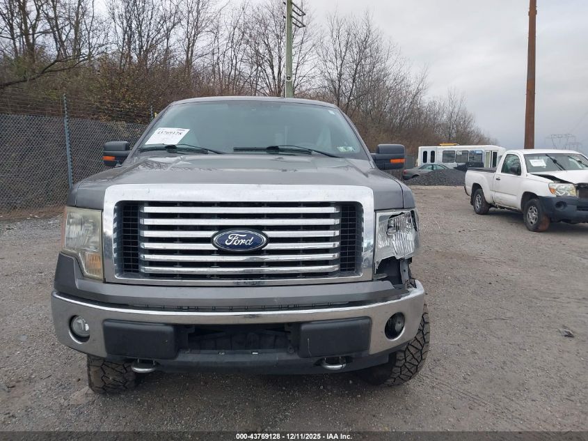 2010 Ford F-150 Stx/Xl/Xlt VIN: 1FTEX1E88AFD48231 Lot: 43769128
