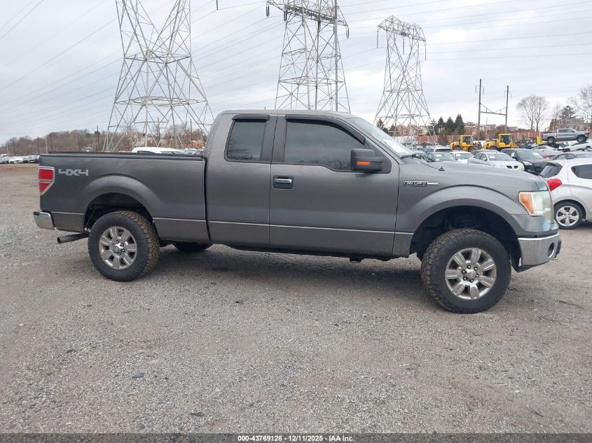 2010 Ford F-150 Stx/Xl/Xlt VIN: 1FTEX1E88AFD48231 Lot: 43769128