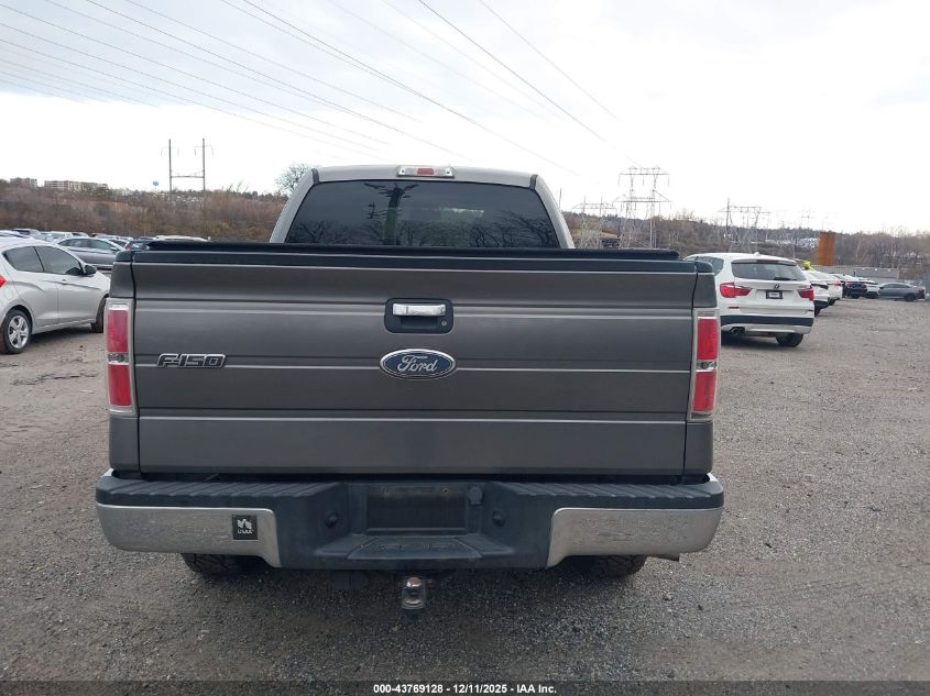 2010 Ford F-150 Stx/Xl/Xlt VIN: 1FTEX1E88AFD48231 Lot: 43769128