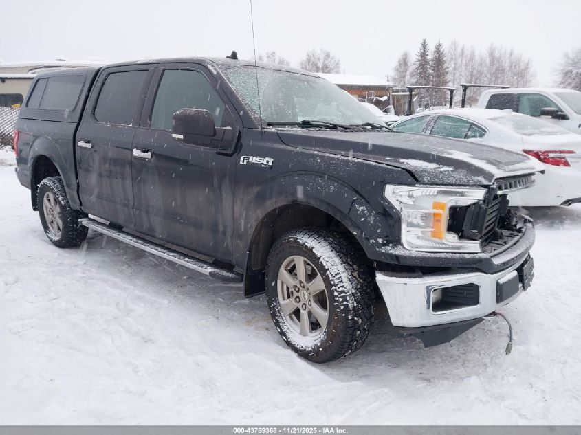 FORD F-150 XLT