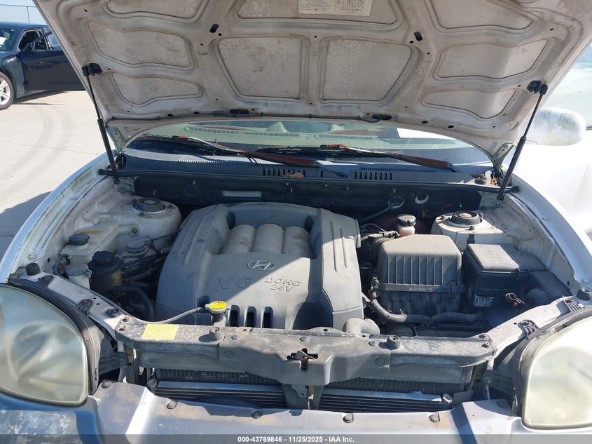 2004 Hyundai Santa Fe Gls VIN: KM8SC13D64U837768 Lot: 43769846