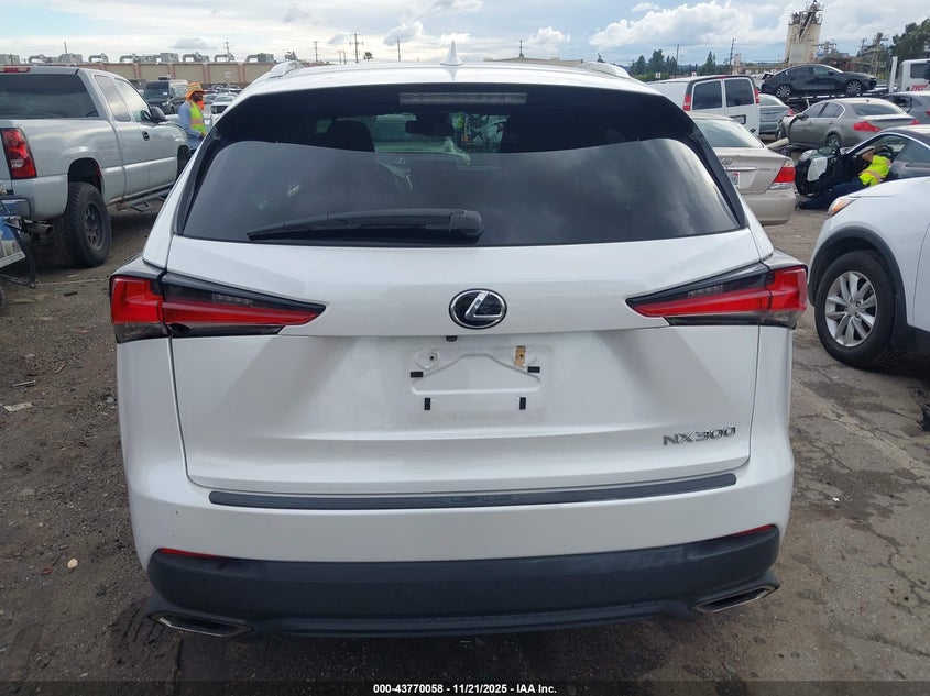2019 Lexus Nx 300 VIN: JTJYARBZ0K2123205 Lot: 43770058