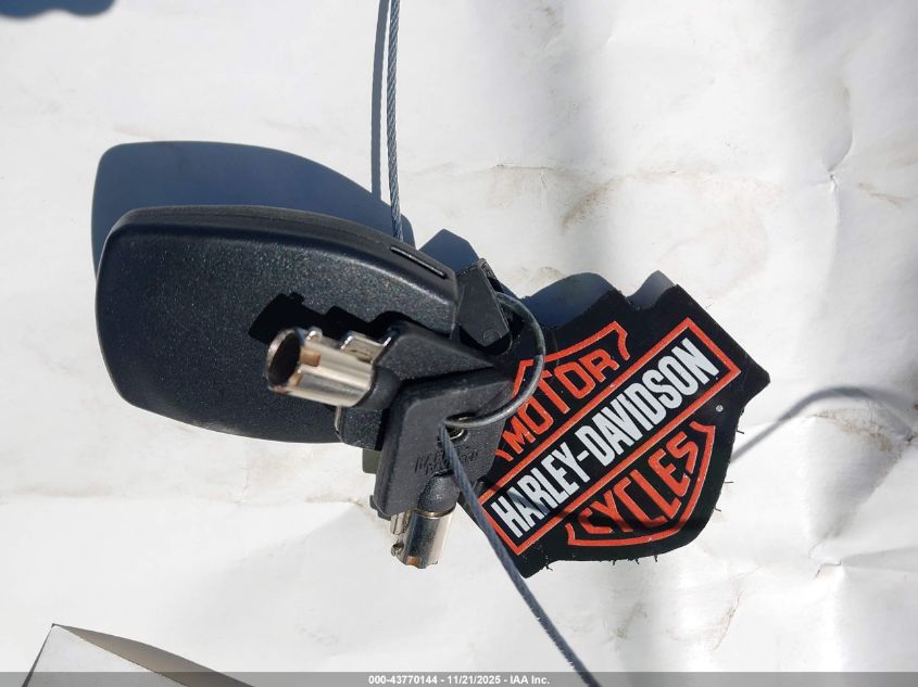 2024 Harley-Davidson Flhx VIN: 1HD1KB712RB615402 Lot: 43770144