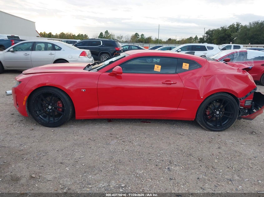2019 Chevrolet Camaro 1Ls VIN: 1G1FB1RX4K0156290 Lot: 43770216