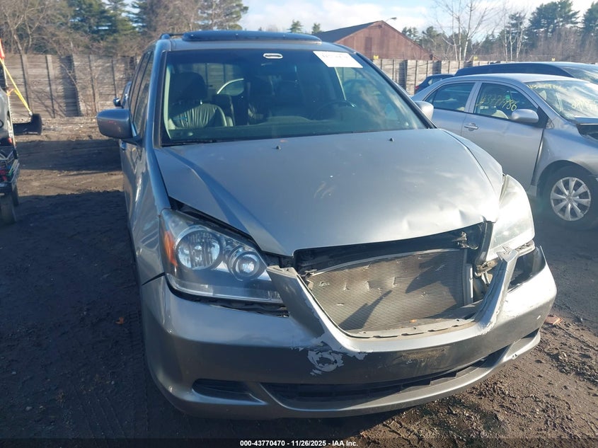 2007 Honda Odyssey Ex-L VIN: 5FNRL38707B005955 Lot: 43770470