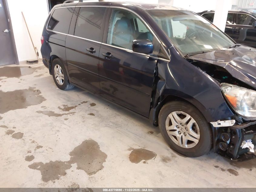 2007 Honda Odyssey Ex-L VIN: 5FNRL38617B131684 Lot: 43770598