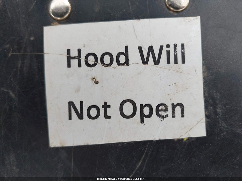 2004 Dodge Dakota Sport VIN: 1D7FL36N04S700154 Lot: 43770944