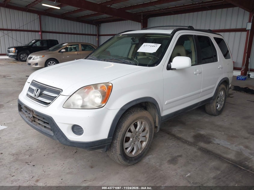 2005 Honda Cr-V Se VIN: JHLRD78915C002999 Lot: 43771097