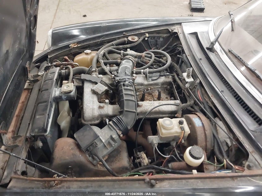 1985 Alfa Romeo Veloce 2000 Spider VIN: ZARBA5419F1023291 Lot: 43771576