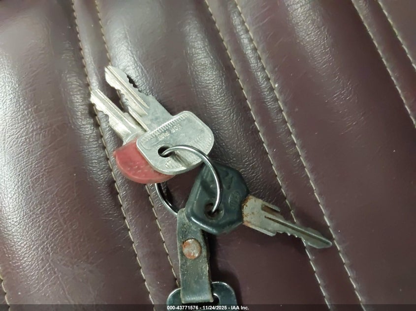 1985 Alfa Romeo Veloce 2000 Spider VIN: ZARBA5419F1023291 Lot: 43771576