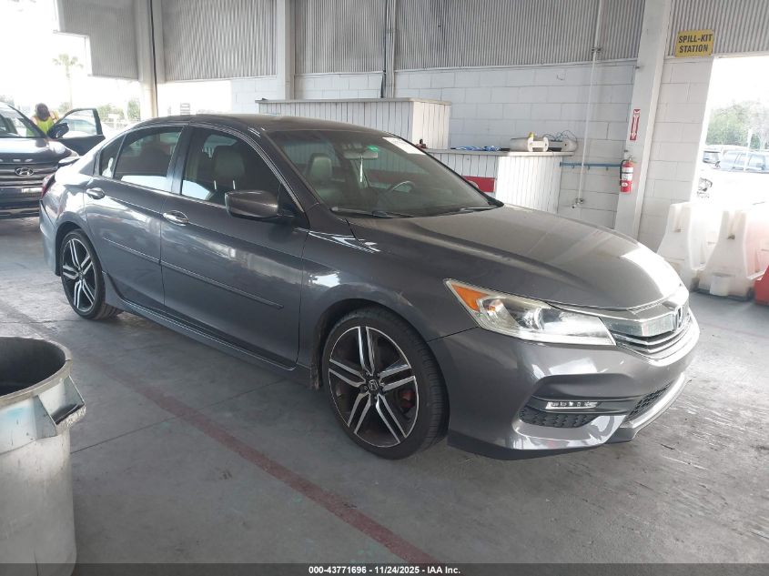 HONDA ACCORD SPORT SE