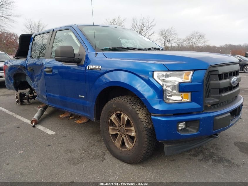 FORD F-150 XL