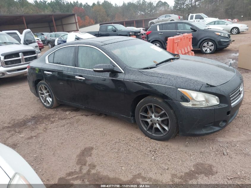 NISSAN MAXIMA 3.5 SV