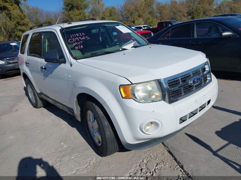 FORD ESCAPE XLT