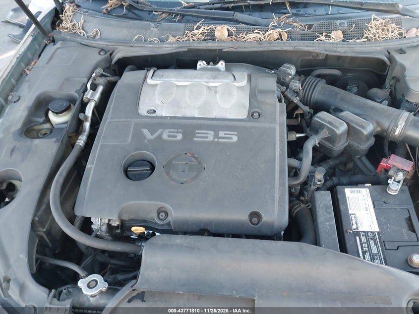 2007 Nissan Maxima 3.5 Se VIN: 1N4BA41E67C848132 Lot: 43771810