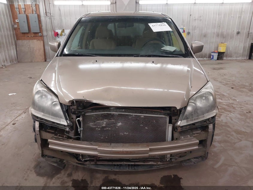 2007 Honda Odyssey Ex VIN: 5FNRL38427B409815 Lot: 43771826