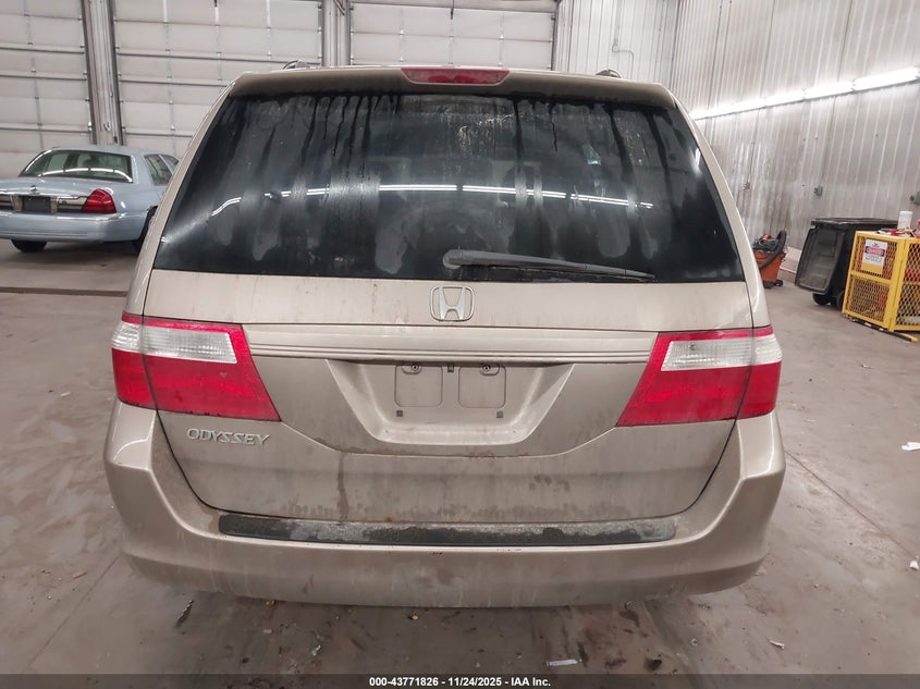 2007 Honda Odyssey Ex VIN: 5FNRL38427B409815 Lot: 43771826