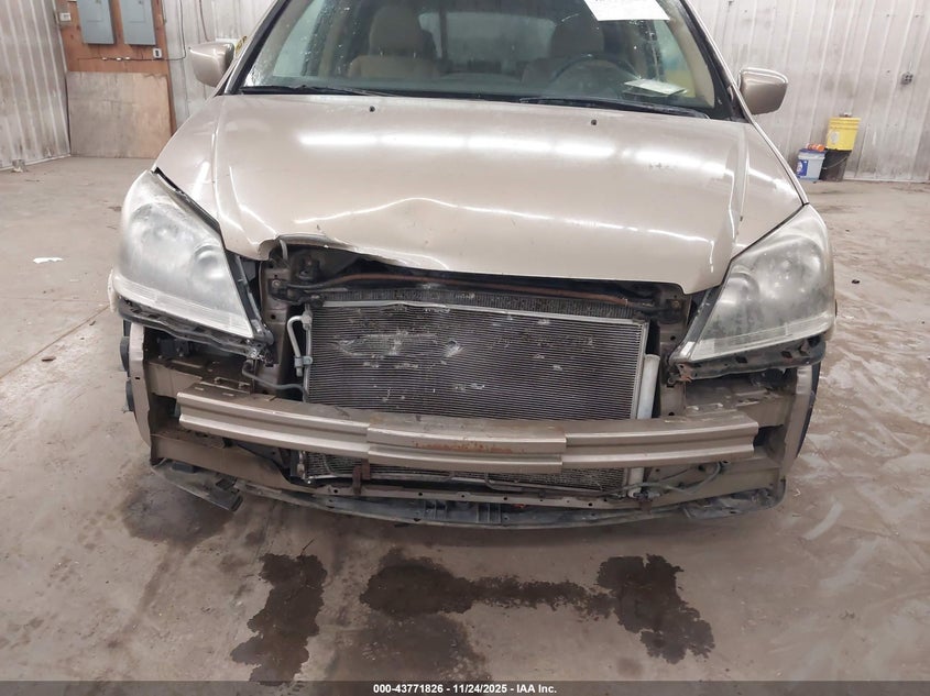 2007 Honda Odyssey Ex VIN: 5FNRL38427B409815 Lot: 43771826