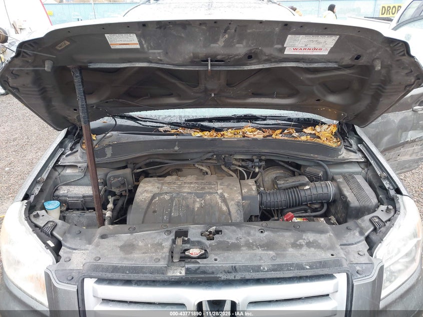 2007 Honda Pilot Ex-L VIN: 5FNYF18747B018103 Lot: 43771890