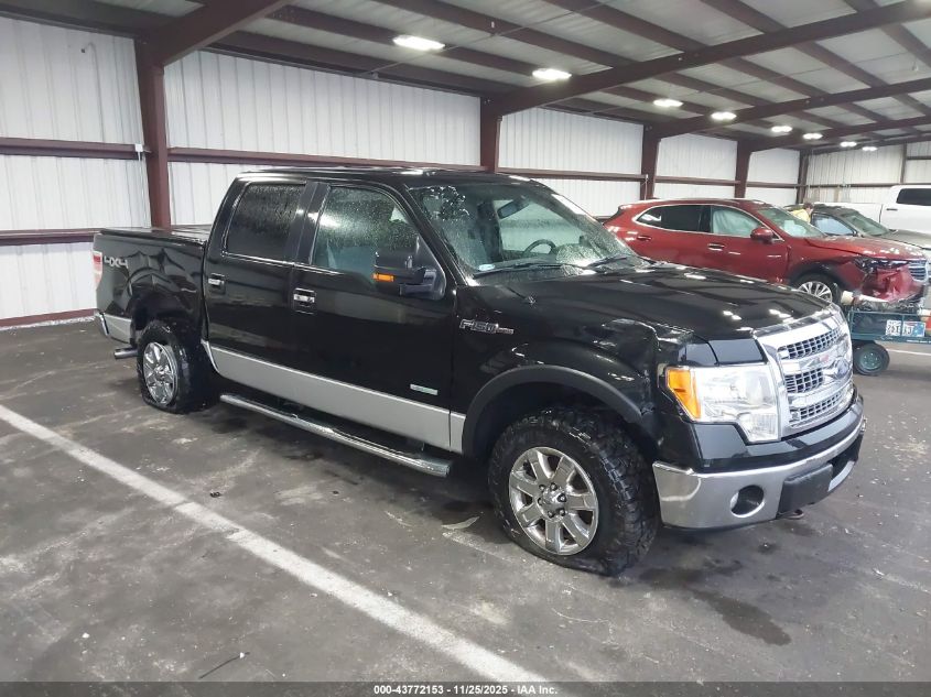 FORD F-150 XLT