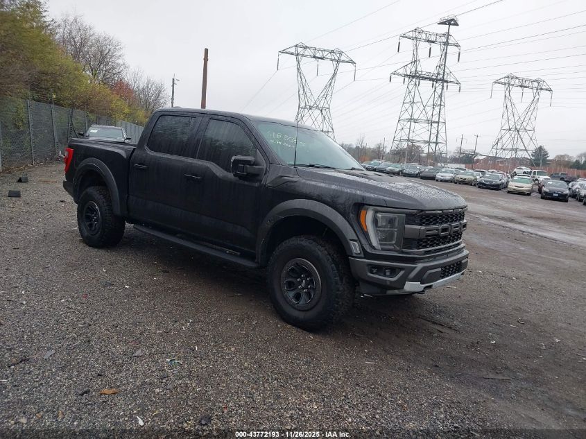 FORD F-150 RAPTOR