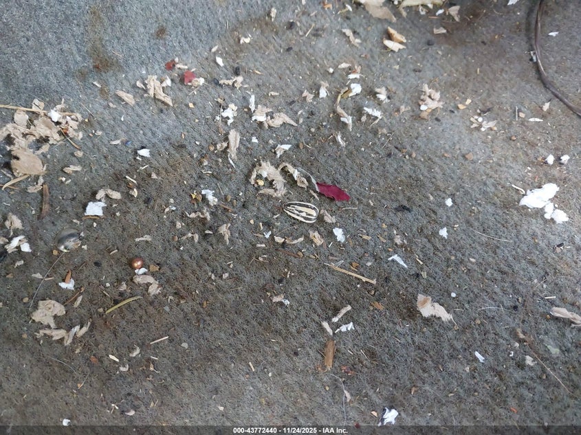 2000 Toyota Tundra Sr5 V8 VIN: 5TBBT441XYS032434 Lot: 43772440