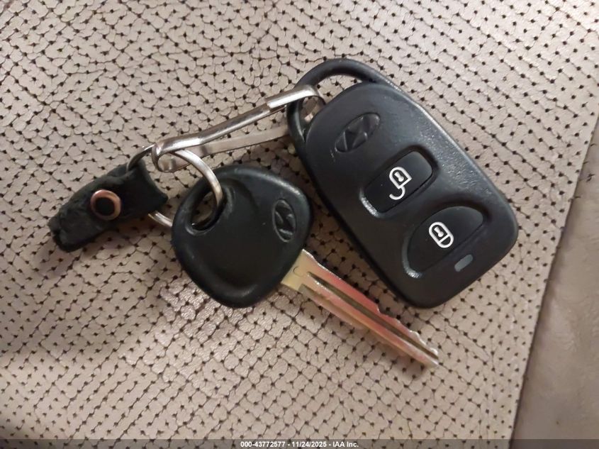 2007 Hyundai Santa Fe Limited/Se VIN: 5NMSH13E77H125747 Lot: 43772577