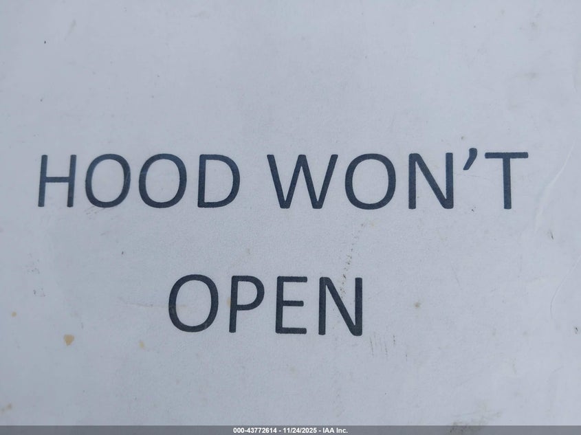 2003 Lexus Ls 430 VIN: JTHBN30F730120882 Lot: 43772614