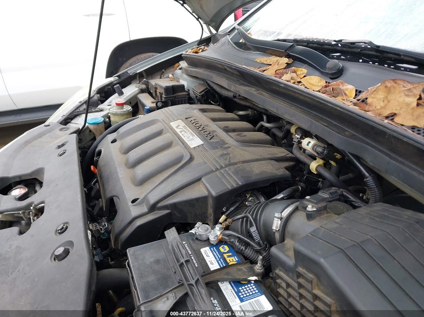 2009 Honda Odyssey Ex-L VIN: 5FNRL38629B033167 Lot: 43772637