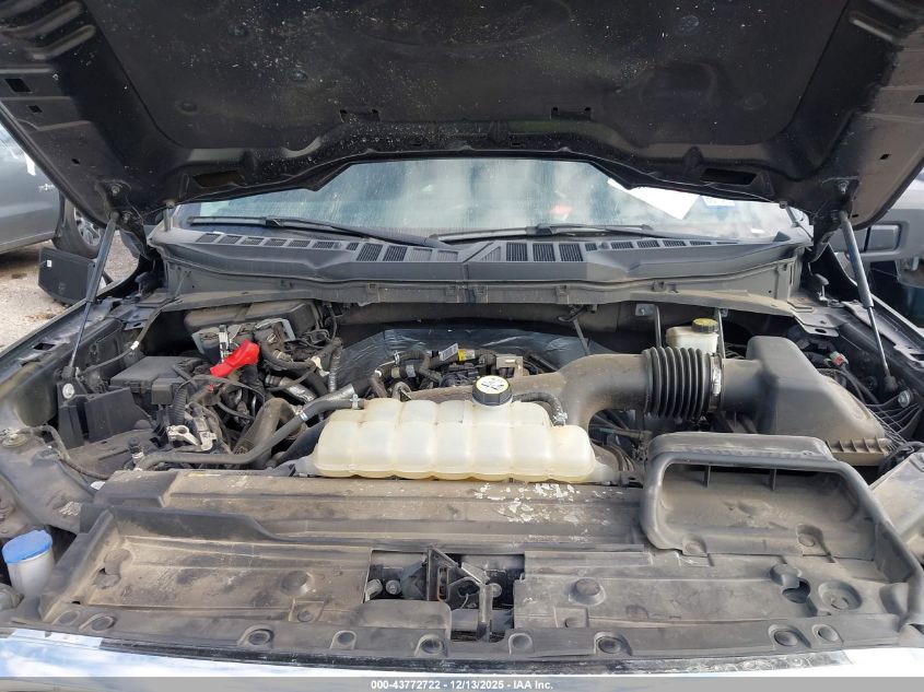 2023 Ford F-150 Xlt VIN: 1FTEW1CP4PKD33674 Lot: 43772722