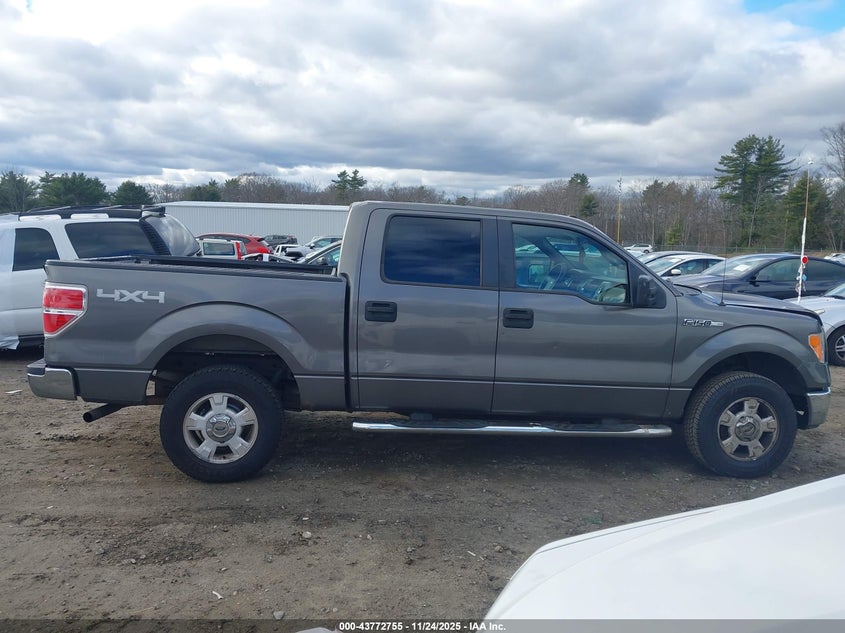 2009 Ford F-150 Xlt VIN: 1FTPW14V39FA07799 Lot: 43772755