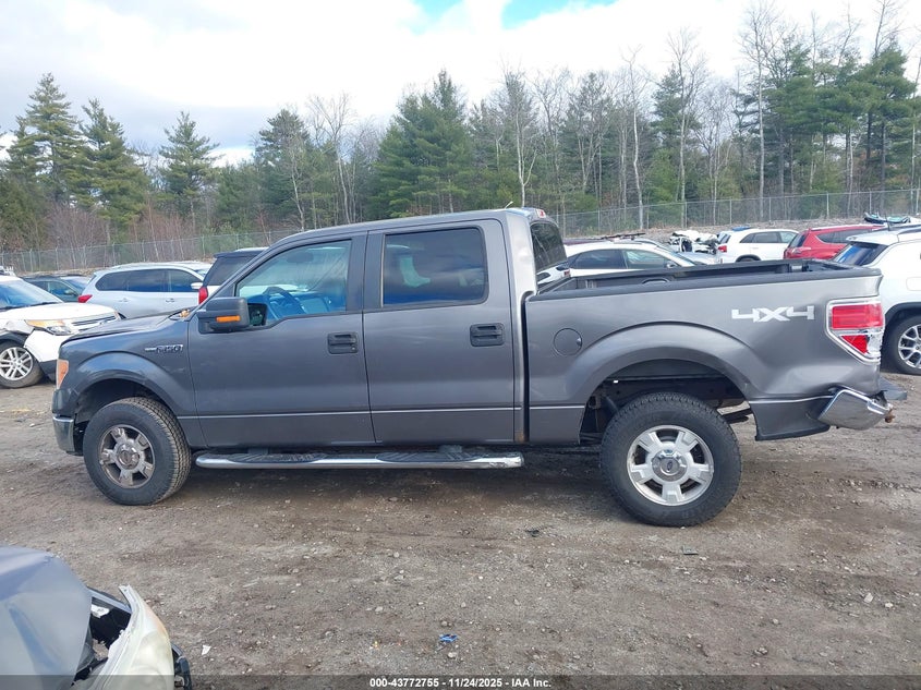 2009 Ford F-150 Xlt VIN: 1FTPW14V39FA07799 Lot: 43772755