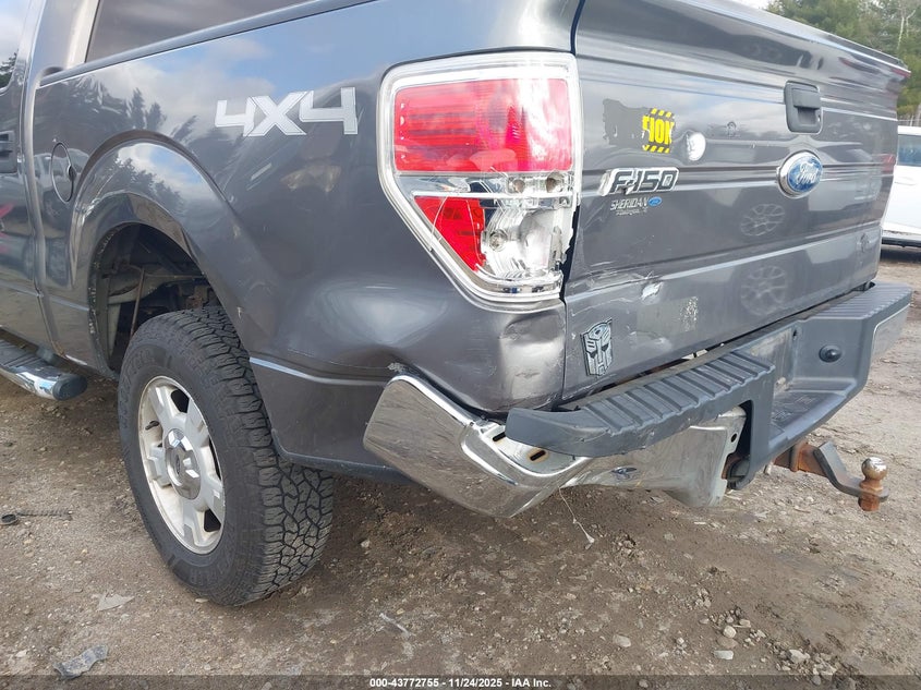 2009 Ford F-150 Xlt VIN: 1FTPW14V39FA07799 Lot: 43772755