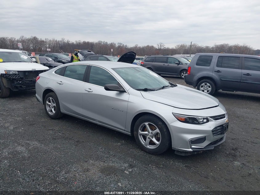 CHEVROLET MALIBU 1LS