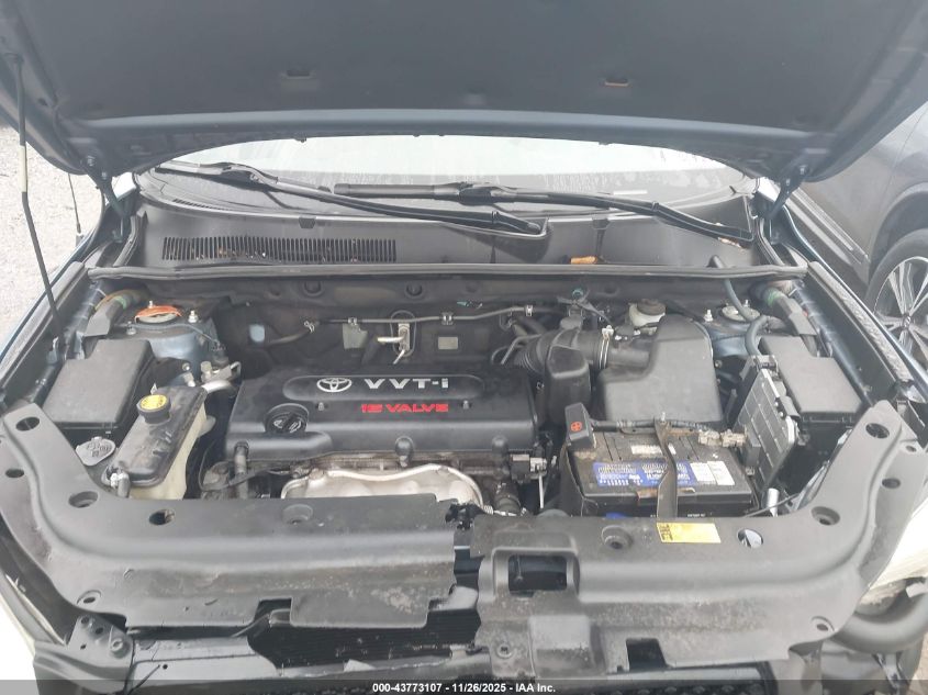 2007 Toyota Rav4 VIN: JTMBD33V676042010 Lot: 43773107