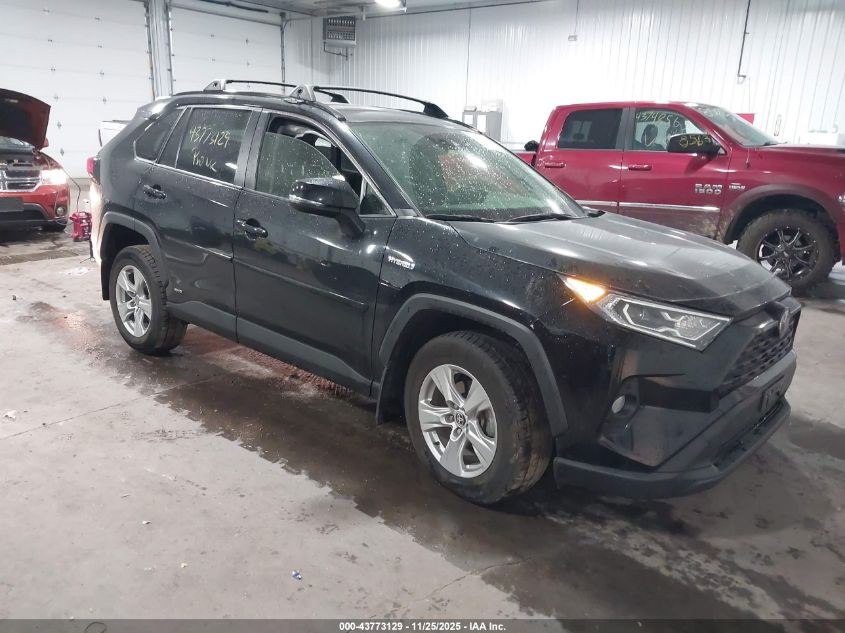 TOYOTA RAV4 HYBRID XLE