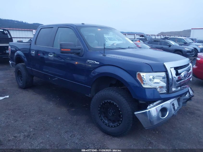 FORD F-150 FX4/HARLEY-DAVIDSON/KING RANCH/LARIAT/PLATINUM/XL/XLT