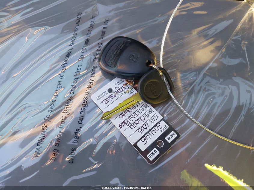 2005 Chevrolet Trailblazer Ls VIN: 1GNDT13S152384983 Lot: 43773442