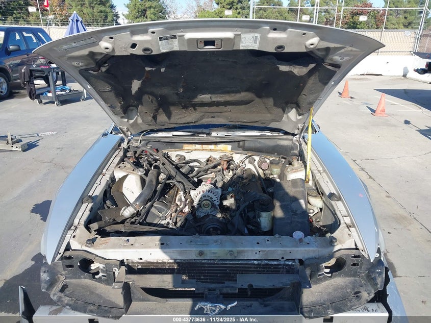 2000 Ford Mustang Gt VIN: 1FAFP45X5YF256393 Lot: 43773636