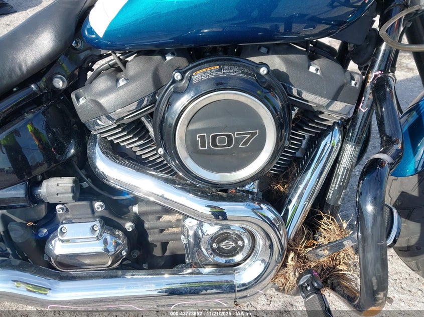 2020 Harley-Davidson Flsb VIN: 1HD1YMJ19LB018807 Lot: 43773852